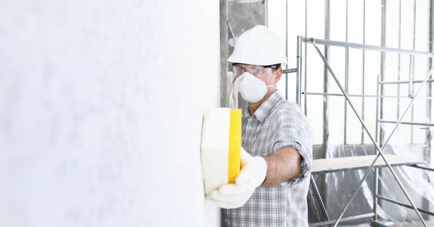 Why You Should Choose Our Mold Remediation Services in Aptos Hills Larkin Valley, CA